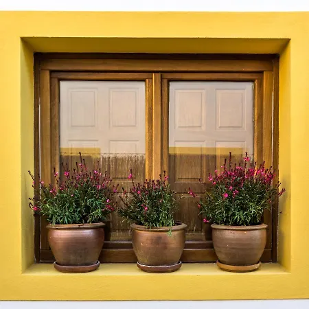 Casa de Férias Olivo - Acogedora Casa Con Exclusivo Diseno Interior *