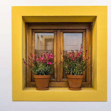 Casa de Férias Olivo - Acogedora Casa Con Exclusivo Diseno Interior