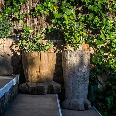 Olivo - Acogedora Casa Con Exclusivo Diseno Interior * Puig D’en Valls
